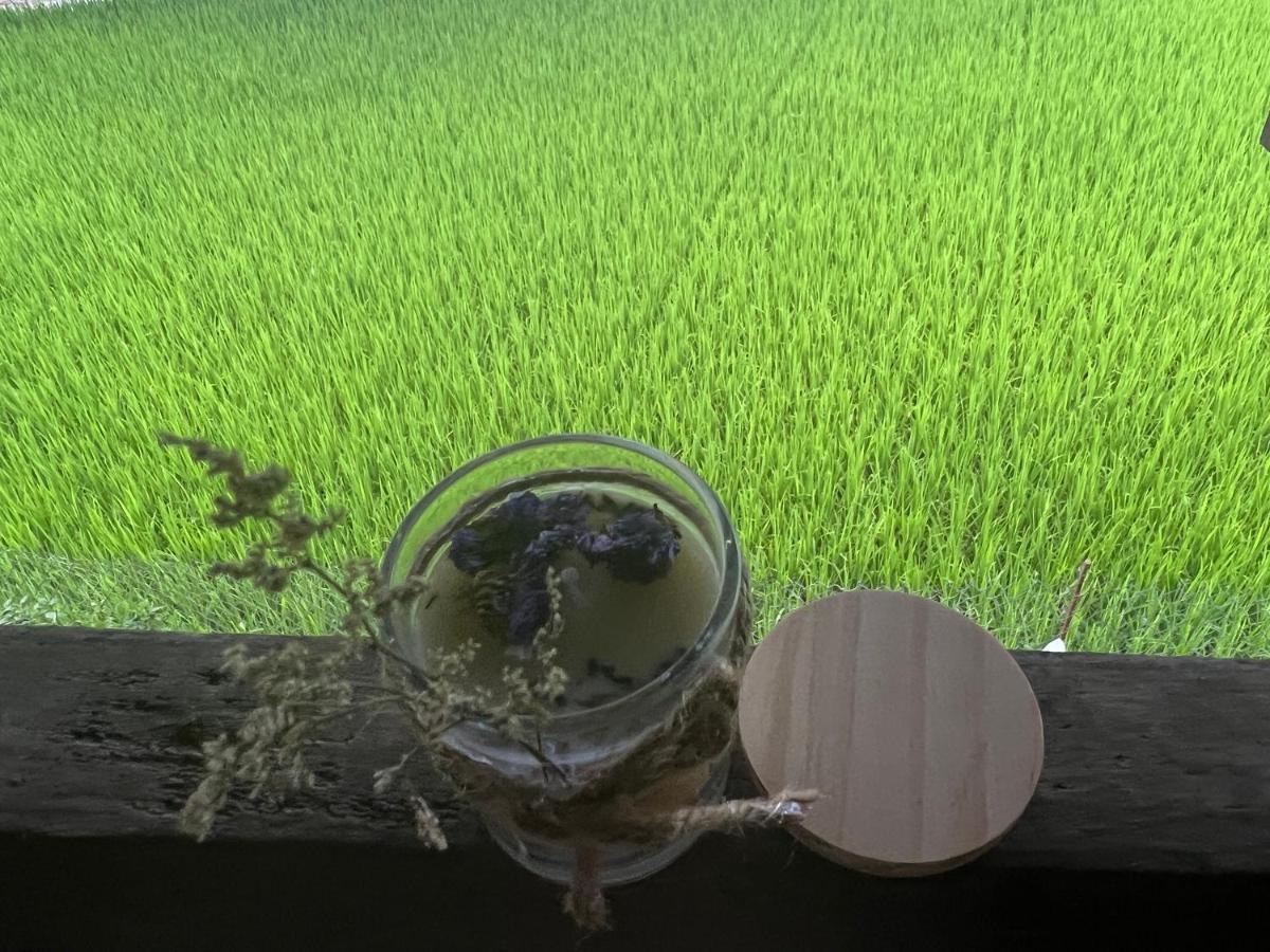 Du Gia Thu'S Homestay Làng Cac Buitenkant foto